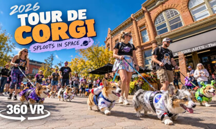 Tour De Corgi Fort Collins Colorado 2026 360 Video Insta360 X6