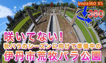 No blooms! Itami City Aramaki Rose Park – October 2, 2026
