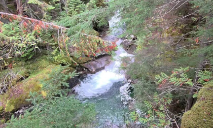 Kokanee creek canyon overlook