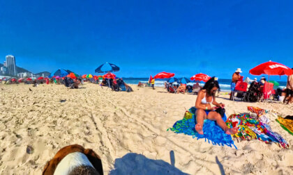 [360 VR] A Sunny Day in Copacabana: Dog POV Beach Walking Tour