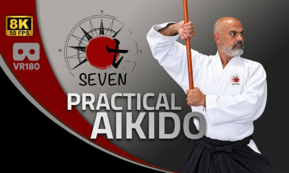 Practical Aikido Self-Defense Techniques | Sensei Elie Beam | Immersive 8K VR180