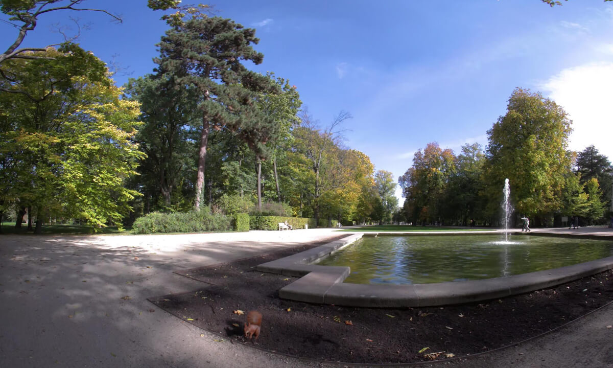 Autumn in Łazienki Park, Warsaw, Poland 8K VR180 3D