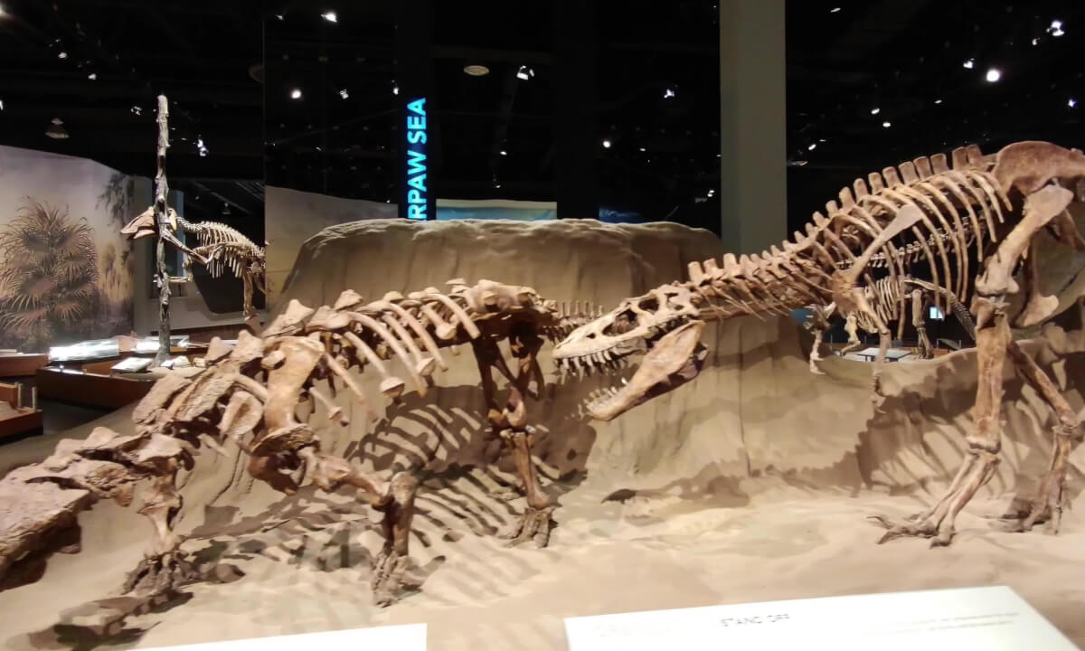 The Dinosaur Hall at the Royal Tyrell Museum in Drumheller, Alberta