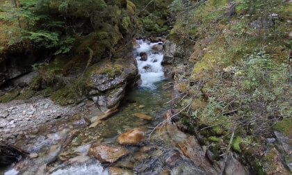 Creek Flowing out of a rocky Gap 3d