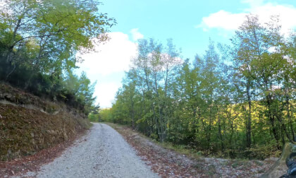 WILD #33 – Four Roads, One Adventure | 360° VR 8K