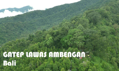 Gatep Lawas Ambengan - Bali