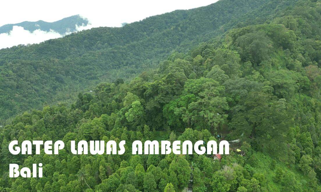 Gatep Lawas Ambengan - Bali