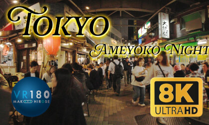 Night walking at Ameyoko,Ameya yokochō,Tokyo,JAPAN,阿美橫,阿美橫丁,アメ横 -Travel JAPAN- Night walking at Ameyoko,Ameya yokochō,Tokyo,JAPAN,阿美橫,阿美橫丁,アメ横 -Travel JAPAN-