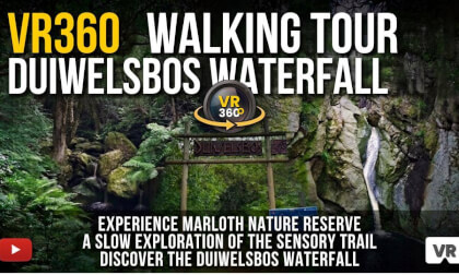 Walking the Duiwelsbos Trail in VR360 | South Africa’s Quiet Mountains