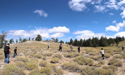 Mountaintop Hike -  Mt. Pinos, CA