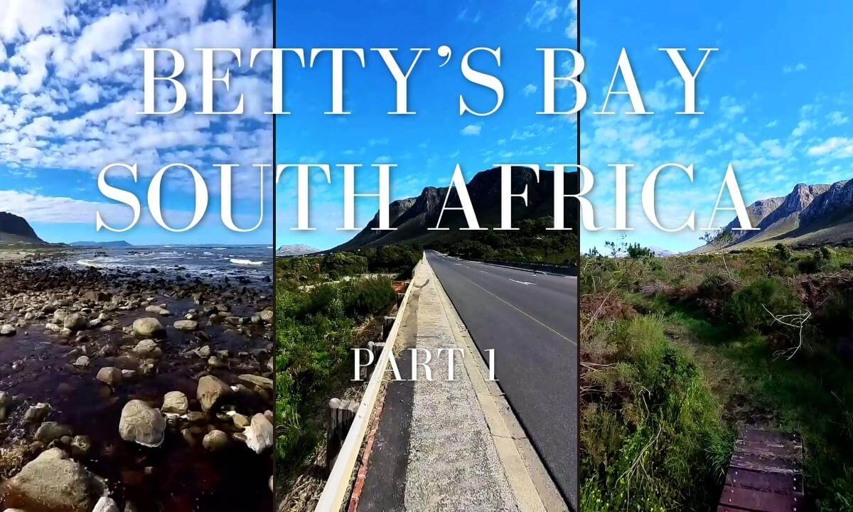 Part 1: The Hidden Path on a Betty's Bay immersive walking tour