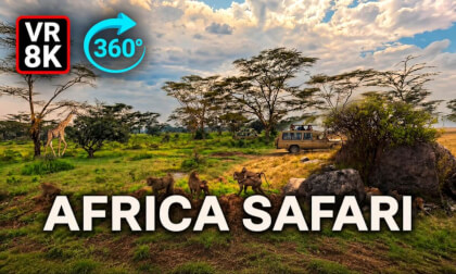 Safari Adventure in Kenya & Tanzania Wild Animals Up Close