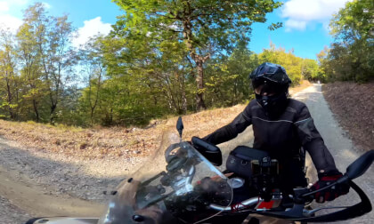 WILD #33 – Four Roads, One Adventure | 360° VR 8K