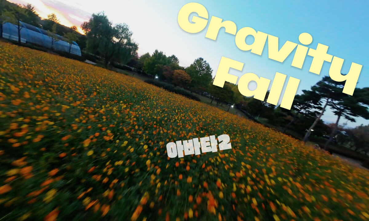 Gravity Fall | DJI Avata2