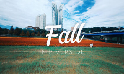 Fall in Fall | DJI Avata2