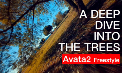 Avata2 나무사이로 프리스타일, Korea  #avata2 #fpvdrone #fpvcinematic #fpvfreestyle #아바타2