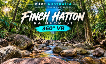 Sit Inside an Australian Rainforest 🌿 | Finch Hatton 8K 360° VR