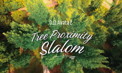 Tree Proximity Slalom, DJI Avata2, Korea  #avata2 #fpvdrone #fpvcinematic #fpvfreestyle #아바타2