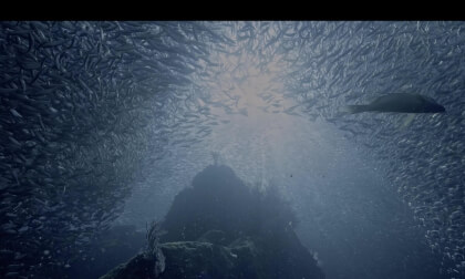 The Deep Ocean OLED Demo HDR 8K Ultra HD Dolby Vision™ 60fps #8