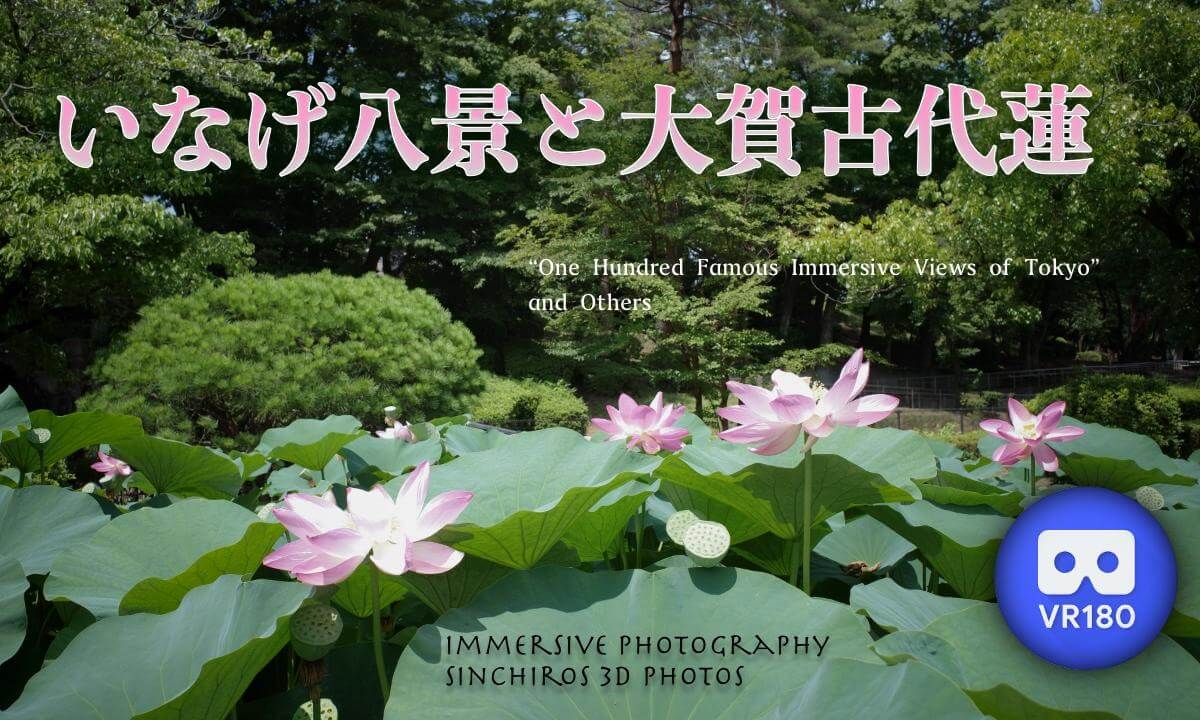The Eight Views of Inage and the Oga Ancient Lotus