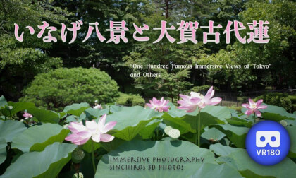 The Eight  Views of Inage and the Oga Ancient Lotus