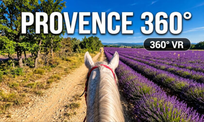 Lavender Fields of Provence 360° VR horsebackriding through France