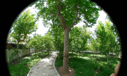 KD3D_20220713_123007