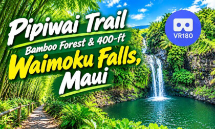 Pipiwai Trail VR180 Hike | Bamboo Forest & 400-ft Waimoku Falls, Maui in 3D