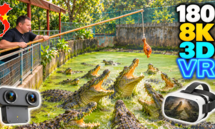 Feeding Crocodiles... Then Eating Them! 🐊 | Saigon Crocodile Farm, Vietnam | 180° 3D VR 8K