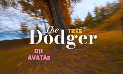 DJI Avata 2 The Tree Dodger