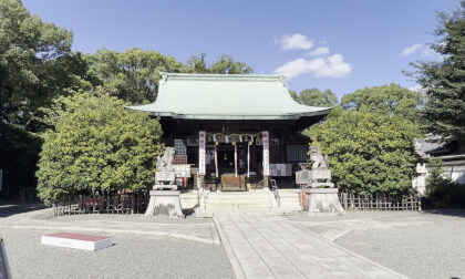 Exploring Suemori Castle Ruins in Spatial Video: Traces of the Oda Clan
