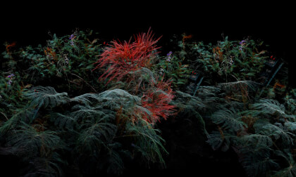 JARDIN II VR Video JARDIN II VR