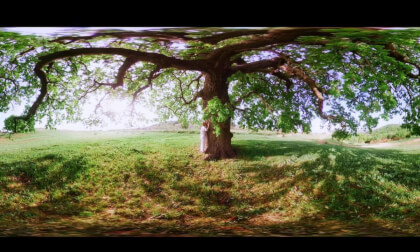 BeLeaf (VR360, English subtitles)