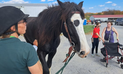 Meet the Draft Horses of Gentle Giants Rescue at 2023 Fall Festival 3D 180 VR Meet the Draft Horses of Gentle Giants Rescue at 2023 Fall Festival 3D 180 VR
