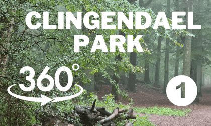 Discovering Clingendael Park in The Hague in VR 360, home to a variety of rare and endangered plant species Discovering Clingendael Park in The Hague in VR 360, home to a variety of rare and endangered plant species
