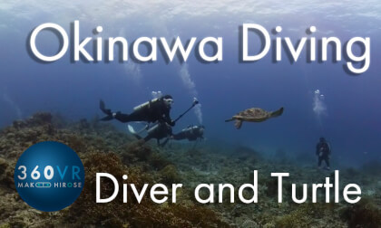 Okinawa Diving [ Diver and turtle ]  -Travel JAPAN -