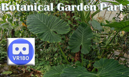 Botanical Garden Part 1 VR180 VR Video Botanical Garden Part 1 VR180 VR
