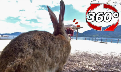 [360 Video] VR 360° | Call a human with your gaze!