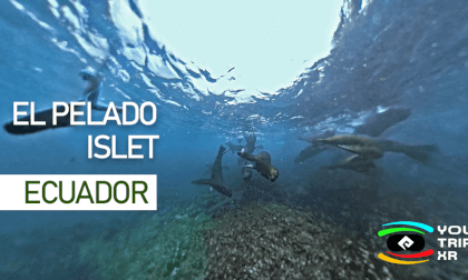 EL PELADO ISLET - ECUADOR
