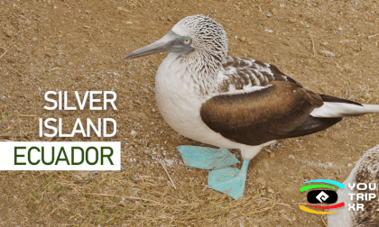 LA PLATA ISLAND - ECUADOR VR Video LA PLATA ISLAND - ECUADOR VR