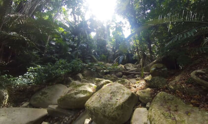 180 VR - Malaysia 2023 - Tioman Island - part 2/2