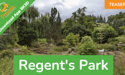 Regents Park 8K3D | DYNAMIC LANGUAGES