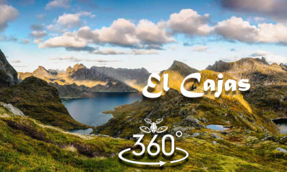 Sky High 360 Adventure: DJI Air 2S and Insta360 Sphere 6K VR Video Sky High 360 Adventure: DJI Air 2S and Insta360 Sphere 6K VR