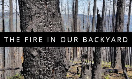 The Fire in Our Backyard VR Video The Fire in Our Backyard VR