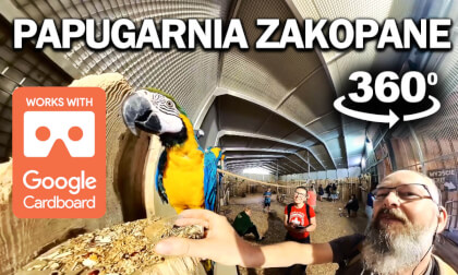 Papugarnia 🦜 Ptasi Raj Zakopane #360 #360video #insta360x3 #viral #viralvideo #zakopane #papuga Papugarnia 🦜 Ptasi Raj Zakopane #360 #360video #insta360x3 #viral #viralvideo #zakopane #papuga