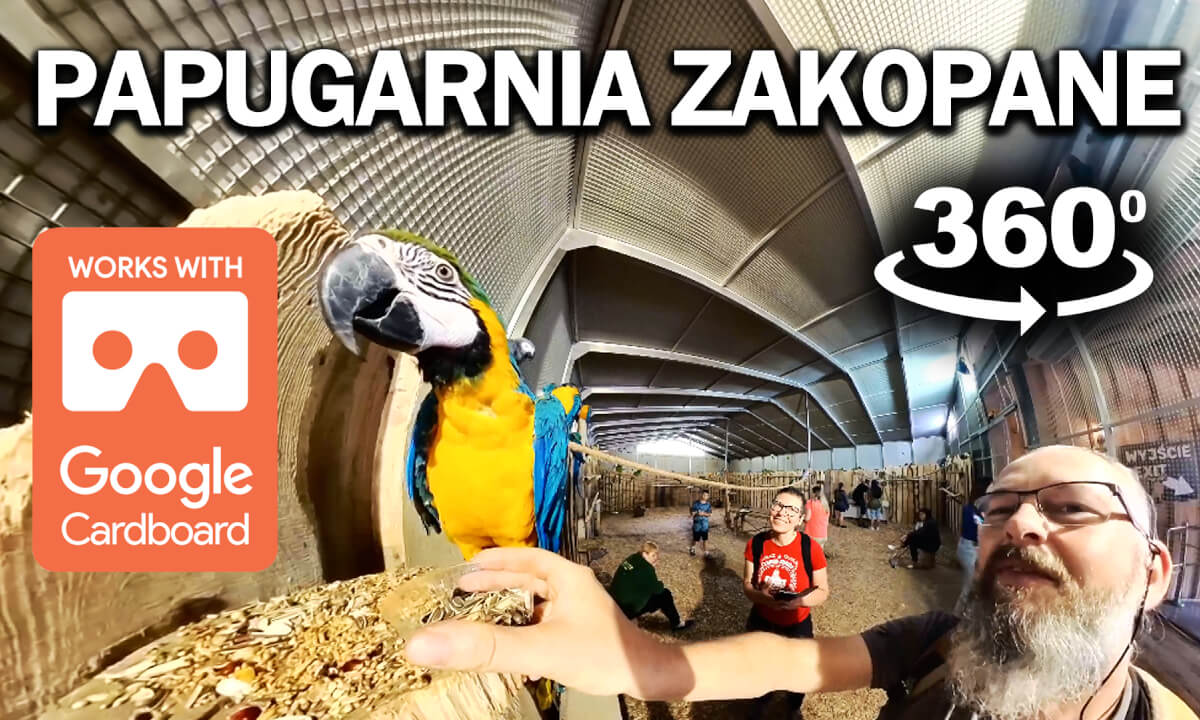 Papugarnia 🦜 Ptasi Raj Zakopane #360 #360video #insta360x3 #viral #viralvideo #zakopane #papuga