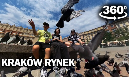 Rynek w Krakowie Gołębie Rynek w Krakowie Gołębie
