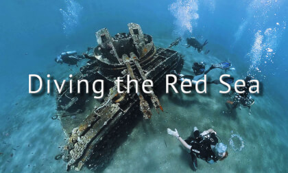 Diving the Red Sea Diving the Red Sea