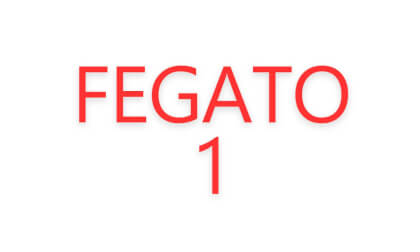 fegato1 cms VR Video fegato1 cms VR