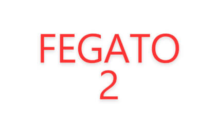 fegato2 cms
